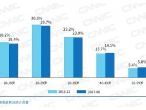 91Porn 破解版年龄核实：提供真实、准确的年龄信息，确保用户安全