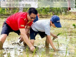 男女之间插秧与间苗的区别：一种是在稻田里劳作，一种是在心田里劳作