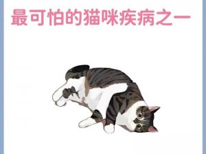 通神榜尿布猫杀手角色解锁攻略：如何解锁尿布猫杀手角色第步