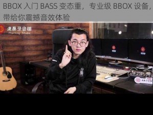 BBOX 入门 BASS 变态重，专业级 BBOX 设备，带给你震撼音效体验