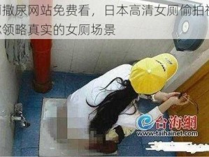 女厕撒尿网站免费看，日本高清女厕偷拍视频，带你领略真实的女厕场景