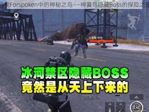 寻找Forspoken中的神秘之鸟——神翼鸟隐藏Boss的探险之旅