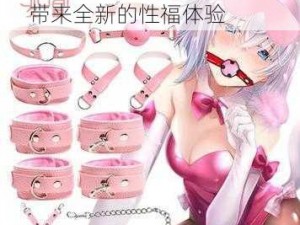 性 Free 69 情趣用品套装，带来全新的性福体验