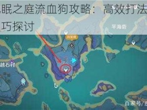 原神沉眠之庭流血狗攻略：高效打法分享与战斗技巧探讨