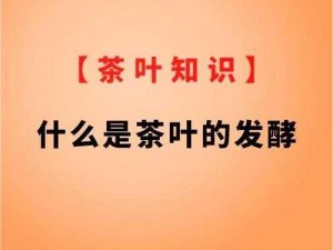 仙踪林官方网站欢迎您老狼，品味自然的味道，探寻茶叶的奥秘