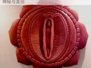 佛教肉莲实物图片——独特的佛教饰品，展现神秘与美丽