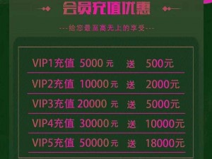 功夫少林VIP13特权独家揭秘：尊享至高级别特权与豪华礼包，VIP13价格览表