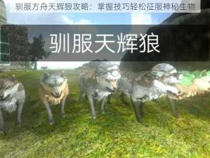 驯服方舟天辉狼攻略：掌握技巧轻松征服神秘生物