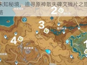 探索未知秘境，追寻原神散失碑文残片之旅的详细攻略