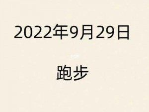 晶晶极限训练日记 19：专业健身装备，助你挑战极限