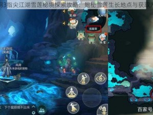 剑网3指尖江湖雪莲秘境探索攻略：揭秘雪莲生长地点与获取方法