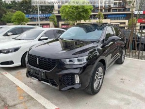 中国豪华 SUV 领导者 WeyVV5 国产的 SUV，动力强劲，配置丰富，性价比高