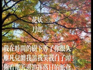 抖音热歌揭秘：当初你寻找的那首歌，现在我才听说，旋律背后的故事引人深思