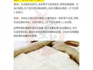 剑网3指尖江湖豆腐浆秘制配方详解：轻松掌握美味佳肴制作技巧