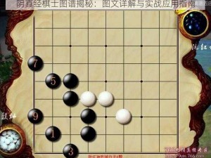 阴真经棋士图谱揭秘：图文详解与实战应用指南