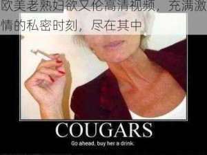 欧美老熟妇欲又伦高清视频，充满激情的私密时刻，尽在其中