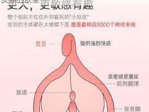 黑巨茎大战欧美白妞激情成人情趣用品，激发你的欲望