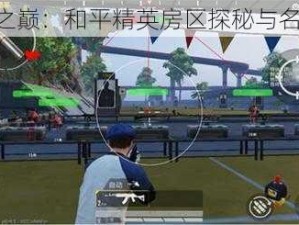 《海岛之巅：和平精英房区探秘与名称解析》