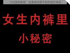 小扫货的秘密：这里有你想不到的低价商品