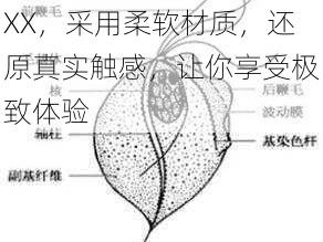 高品质仿真多毛陰戶 XXX，采用柔软材质，还原真实触感，让你享受极致体验