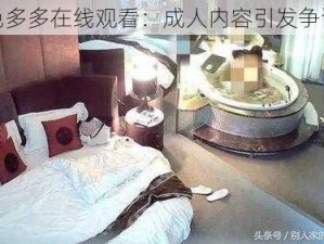 色多多在线观看：成人内容引发争议