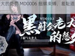 艾秋老大的处罚 MD0006 捆绑束缚，羞耻道具，极致玩弄