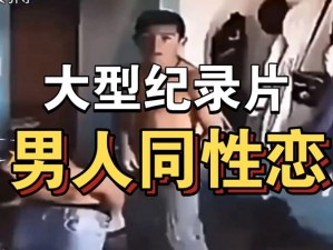 china农民工男同 GⅤ：探索男性身体的魅力与力量