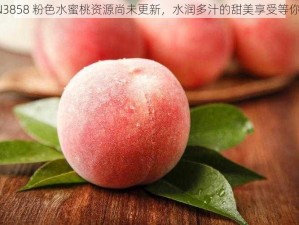 SN3858 粉色水蜜桃资源尚未更新，水润多汁的甜美享受等你来