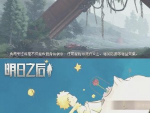 守望黎明的曙光：勇气勋章的传奇由来