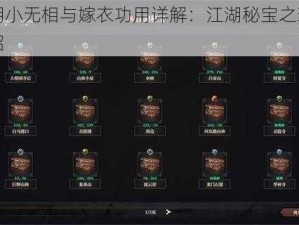 梦江湖小无相与嫁衣功用详解：江湖秘宝之珍贵道具介绍