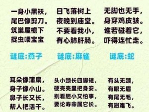 地下城堡3猜谜任务解密攻略：步骤详解如何成功完成猜谜挑战