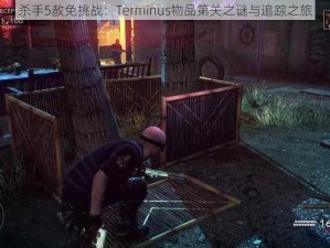 杀手5赦免挑战：Terminus物品第关之谜与追踪之旅