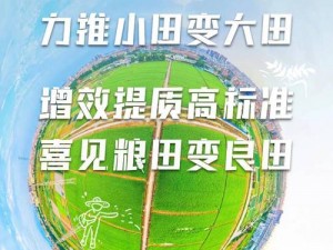 大地资源在线观看免费新浪财经：实时资讯一网打尽