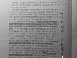 输了让对方随便处置作文 1000 字：满足你的创作需求