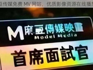 麻花豆传媒免费 MV 网站，优质影像资源在线播放平台