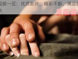 无码视频一区：优质影片，精彩不断，满足您的所有需求