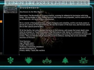 星际之剑2凛冬王者汉化版菜单选项详解与翻译指南