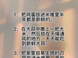 如何下载九一，一款备受欢迎的应用程序，提供多种功能，让你的生活更加便捷