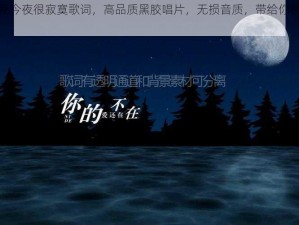 我叫小莫我今夜很寂寞歌词，高品质黑胶唱片，无损音质，带给你极致听觉享受