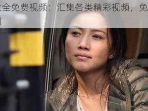 中国大全免费视频：汇集各类精彩视频，免费观看无限制