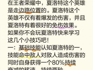 王者荣耀高端局边路英雄策略深度解析：从英雄选择到实战玩法思路