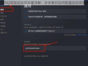 DOTA2国服启动项设置详解：步步教你如何配置启动项参数