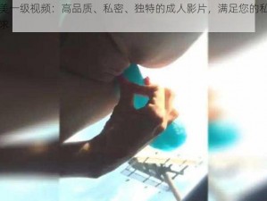 欧美一级视频：高品质、私密、独特的成人影片，满足您的私人需求