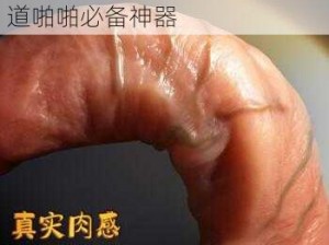 情趣成人用品，男阳茎进女阳道啪啪必备神器