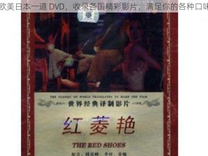 欧美日本一道 DVD，收录各国精彩影片，满足你的各种口味