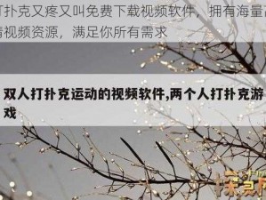 打扑克又疼又叫免费下载视频软件，拥有海量高清视频资源，满足你所有需求