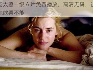 老太婆一级 A 片免费播放，高清无码，让你欲罢不能