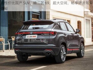 高性价比国产 SUV，精二区 69，超大空间，畅享舒适驾乘体验