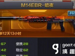 M14EBR暗夜荣耀：穿越火线枪战王者版独特策略与解析