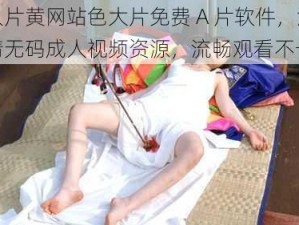 成人片黄网站色大片免费 A 片软件，海量高清无码成人视频资源，流畅观看不卡顿